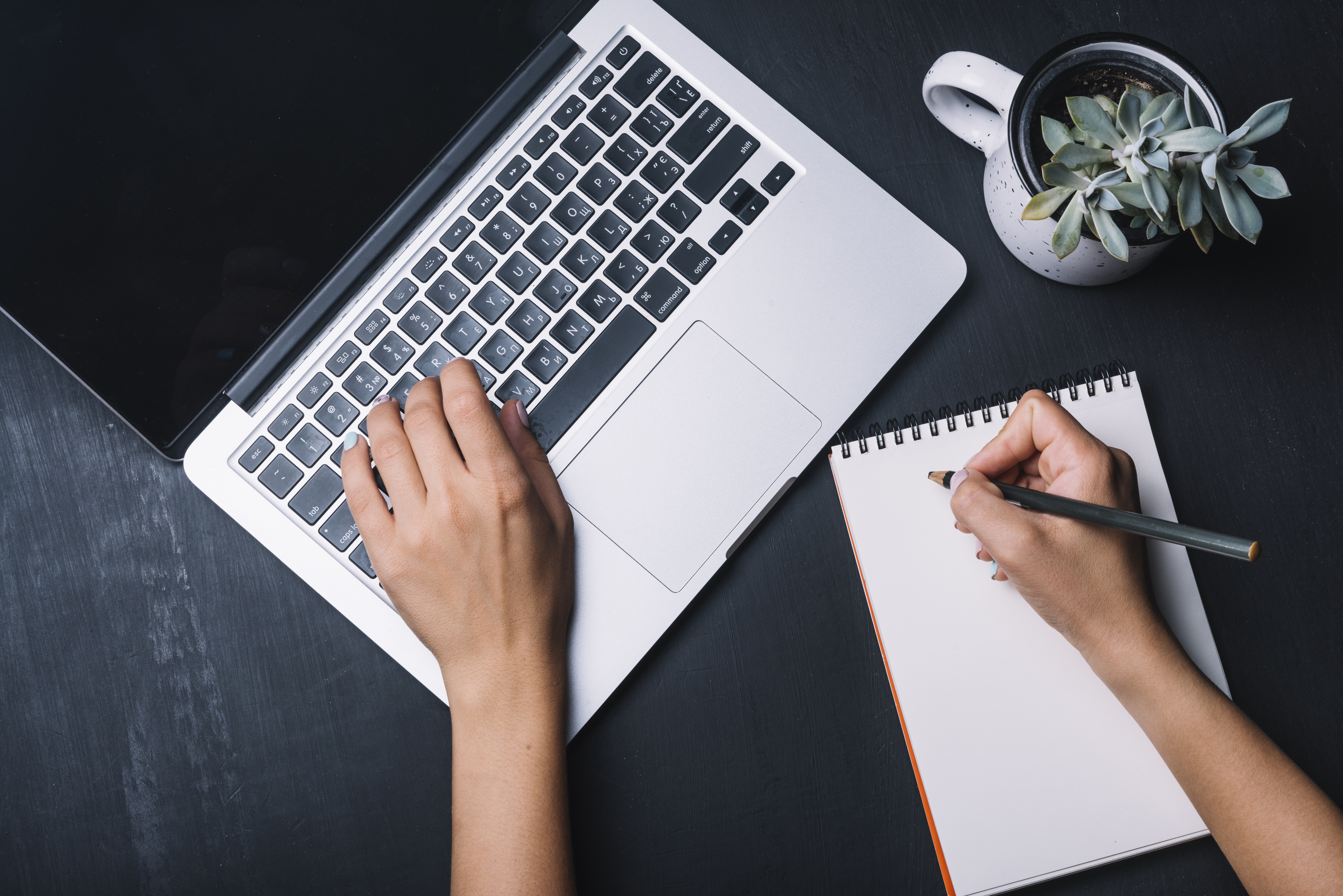 Content Creation & SEO